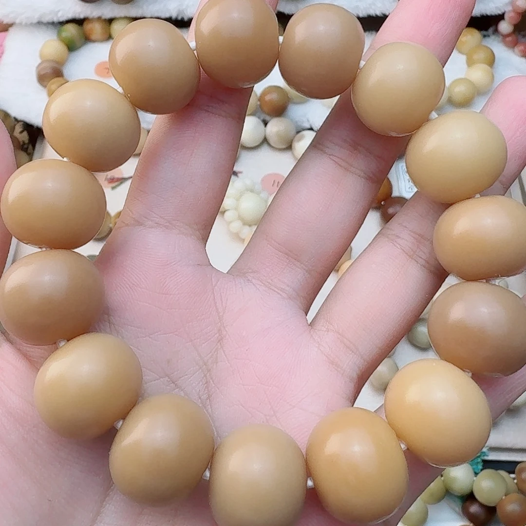 手串菩提根/象牙果