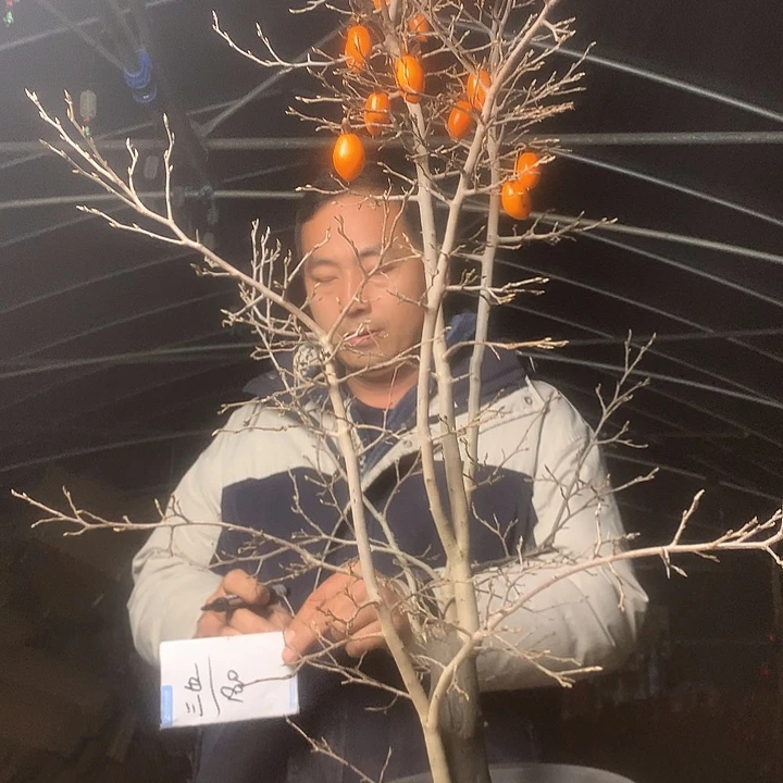 三***也无花朵我们的目标是成为