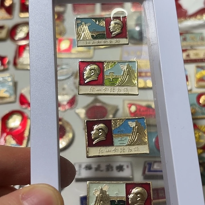 其他普通金属柳****地纪念章