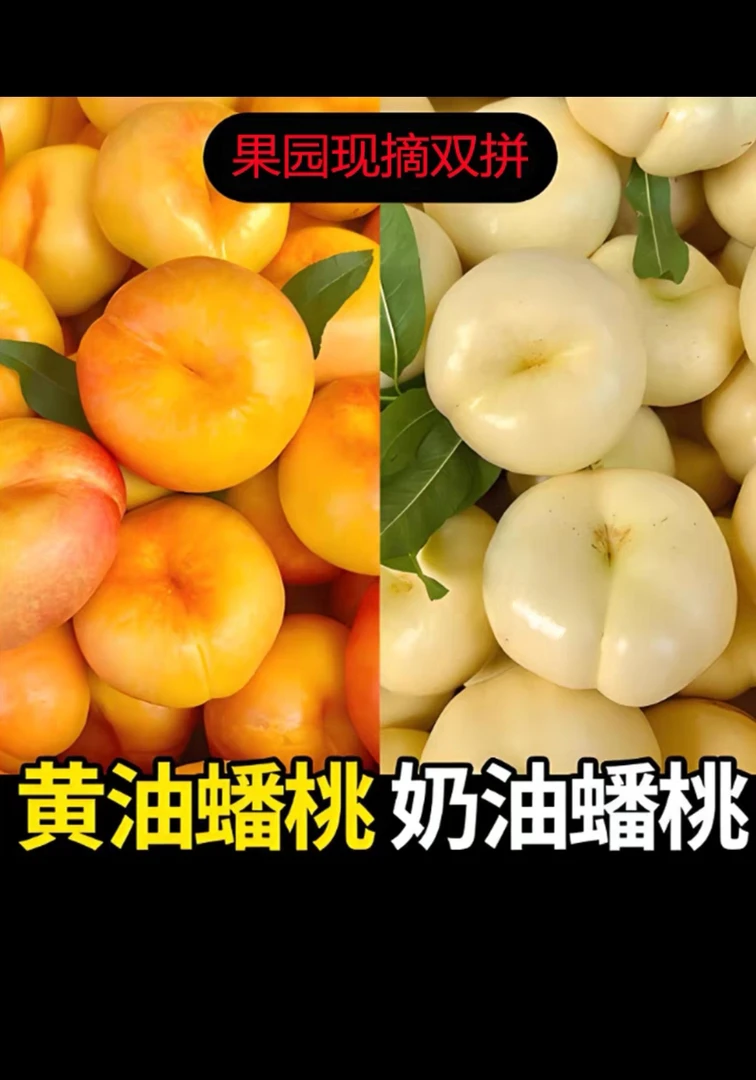 山东蒙阴奶油潘彩虹油蟠桃双拼新鲜应季皮薄甜嫩多汁水果