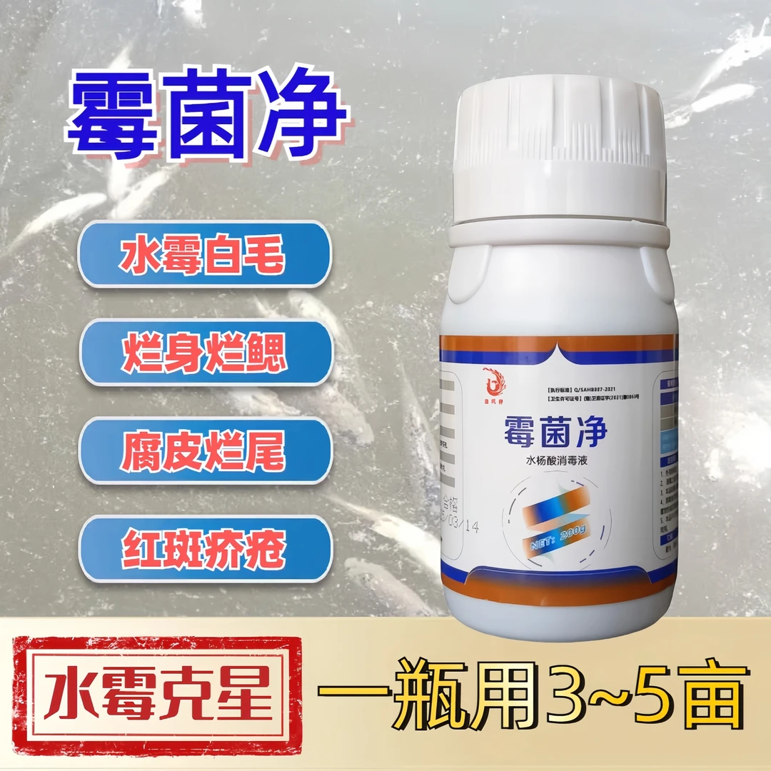 水霉鳃霉白毛腐皮烂鳃烂尾水产养殖专用溶解可用
