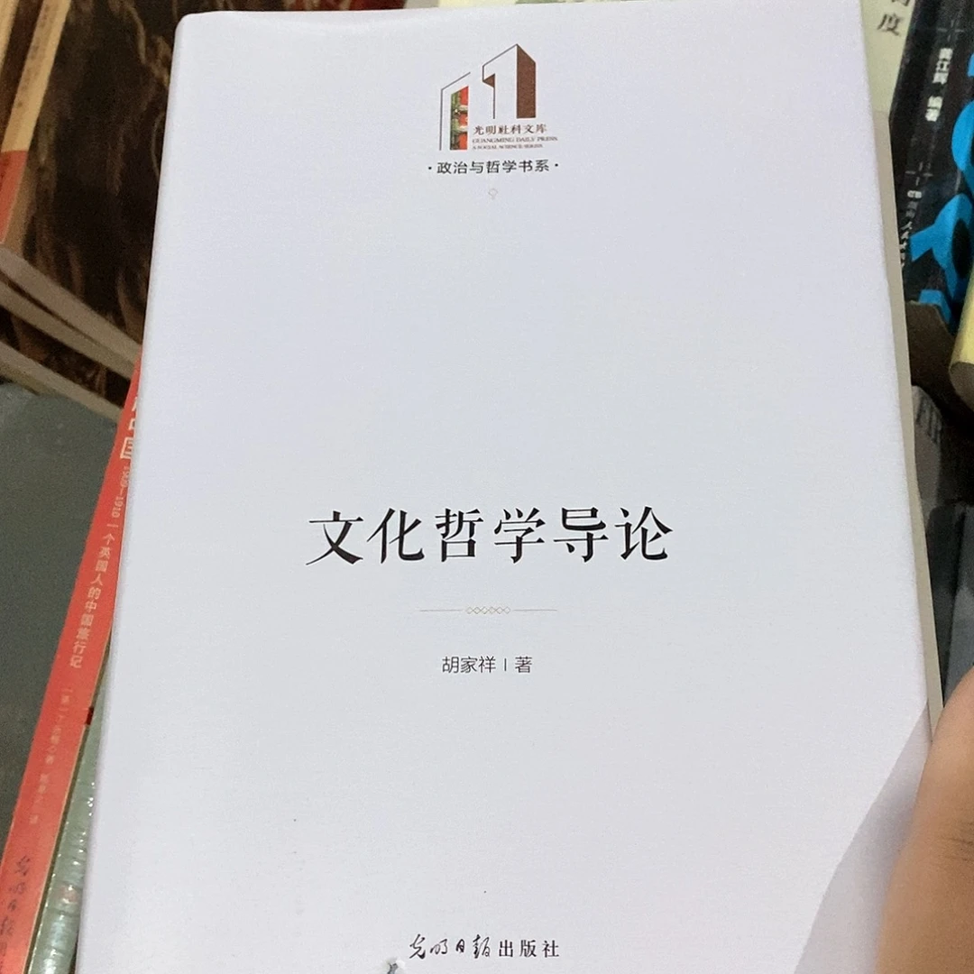 瑕疵锯口  文化哲学导论