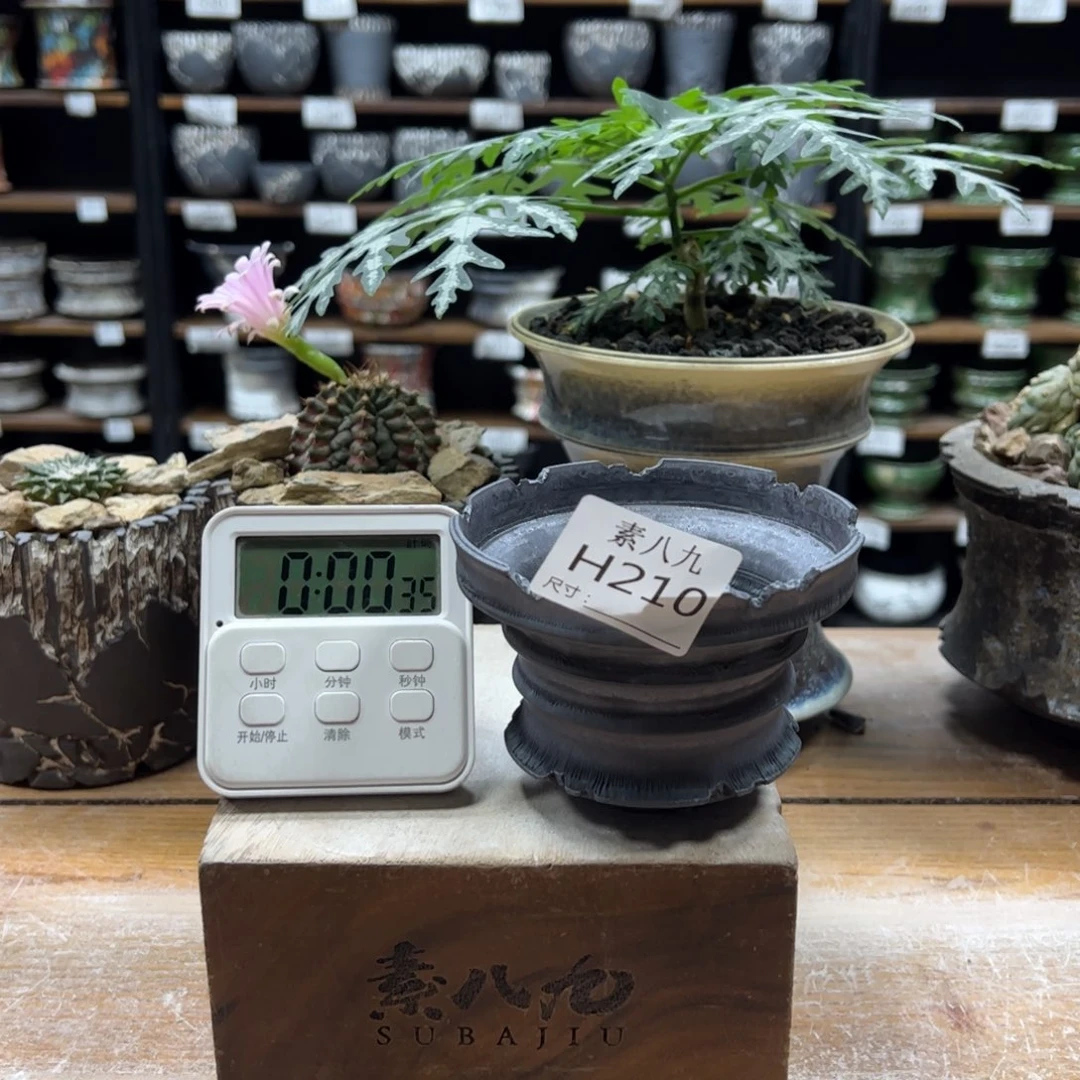 素八九陶瓷内口10高7.5老*