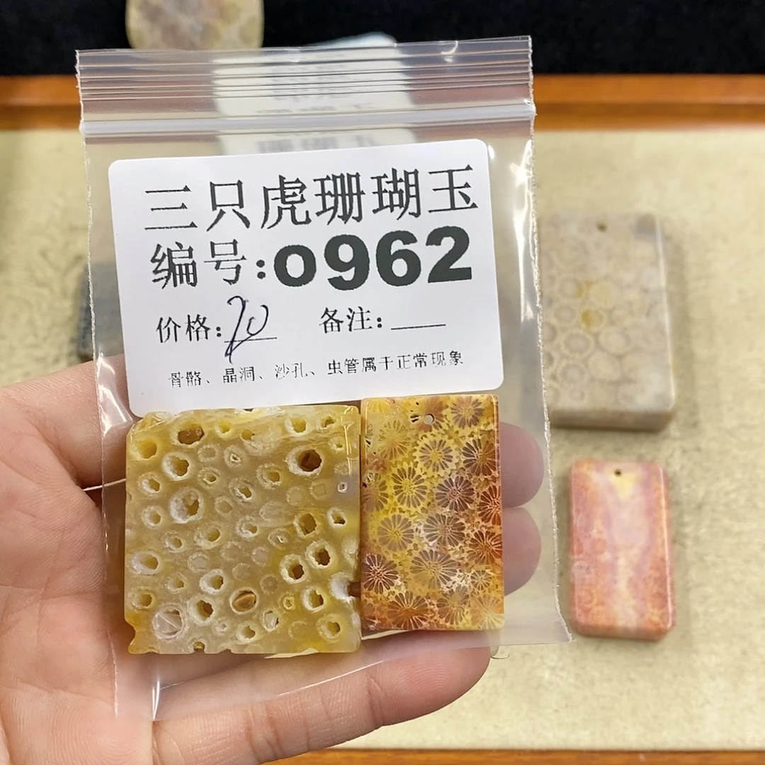 硅化珊瑚（珊瑚玉）1未镶嵌铁***妈