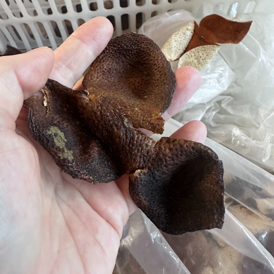 2013年东甲圈枝大红皮