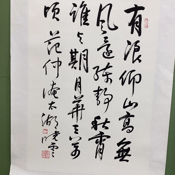 竖款精品书法作品宣