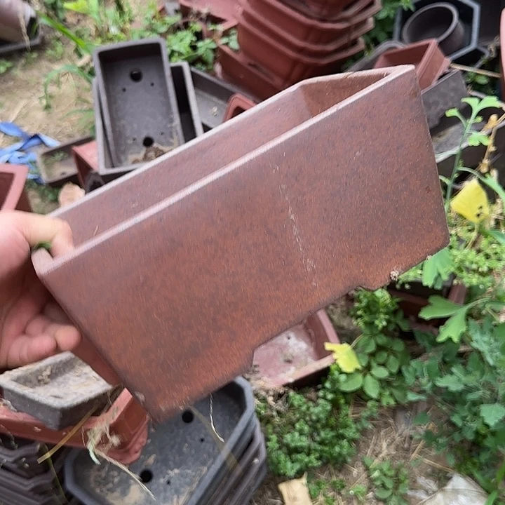 是一个不知名作家与著名导演兼