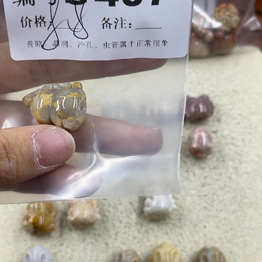 八***猫硅化珊瑚（珊瑚玉）未镶嵌h