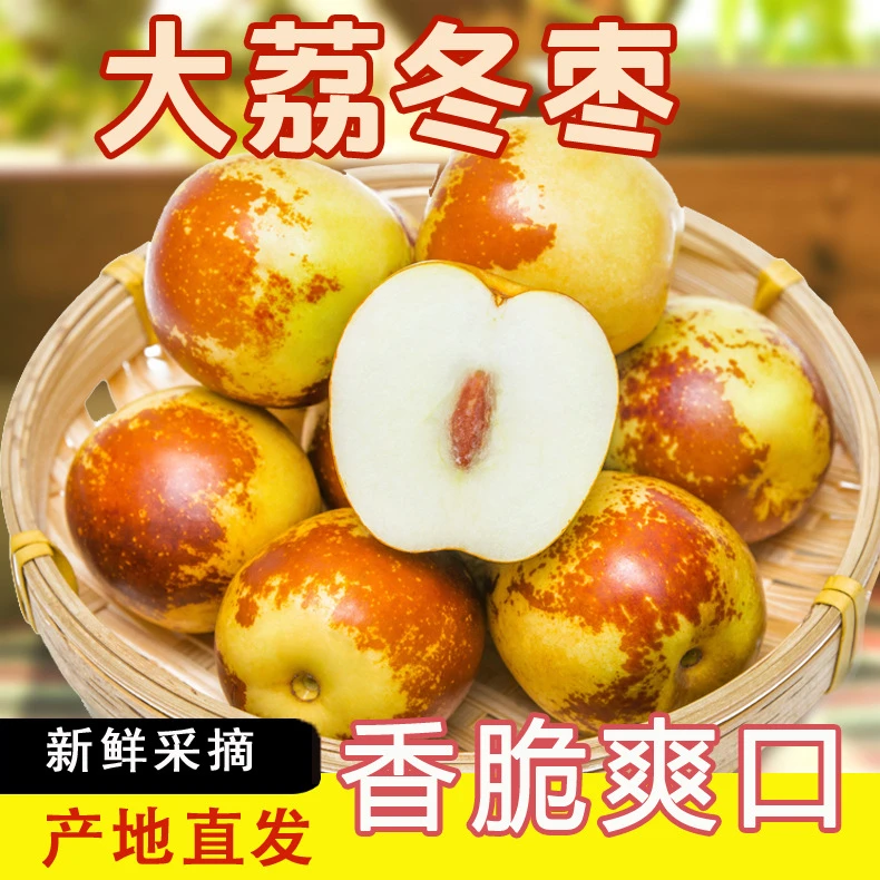 陕西大荔冬枣新鲜水果当季大枣脆甜青枣整箱5斤枣子-优品5566