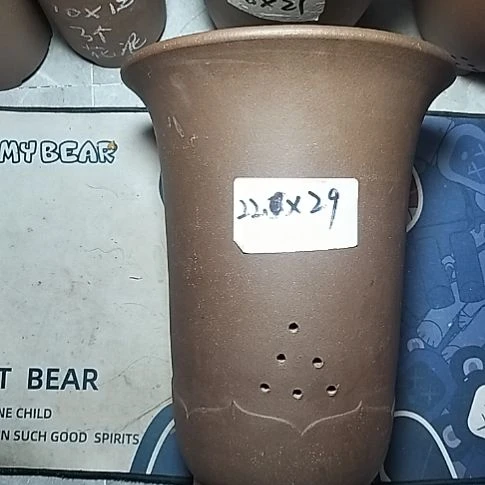 莲花金钟一个花盆