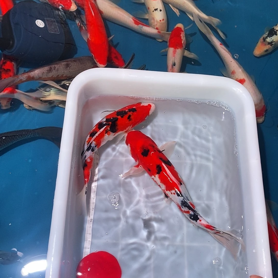 海水18啊啊啊啊啊