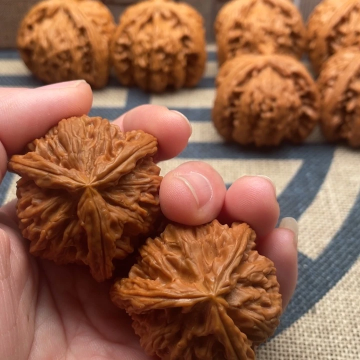 独***醉石楠木白狮子40核桃