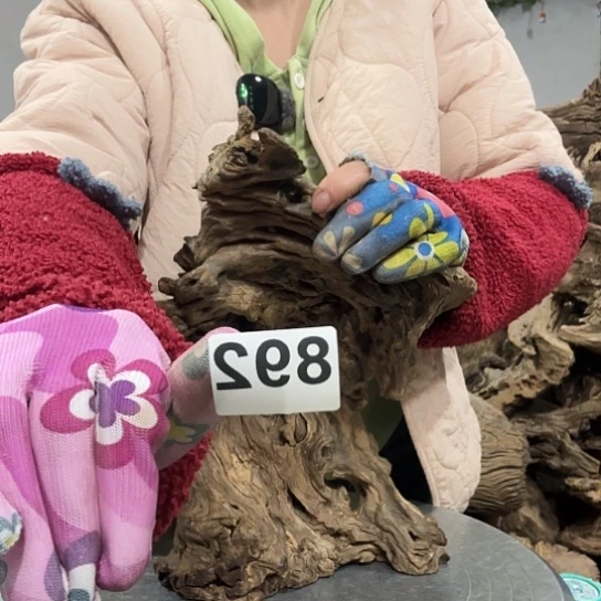 新**业紫砂啦打榜打投打投啦