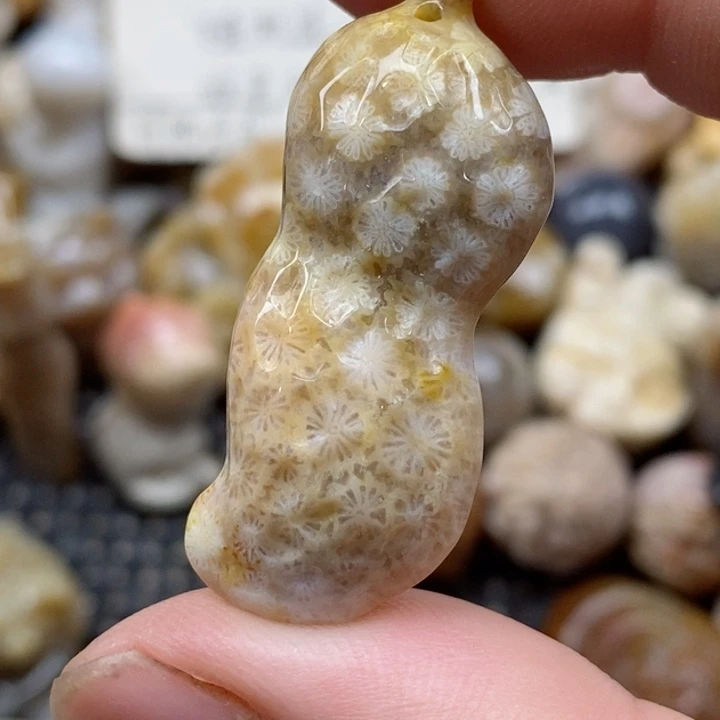 颈饰未镶嵌硅化珊瑚（珊瑚玉）