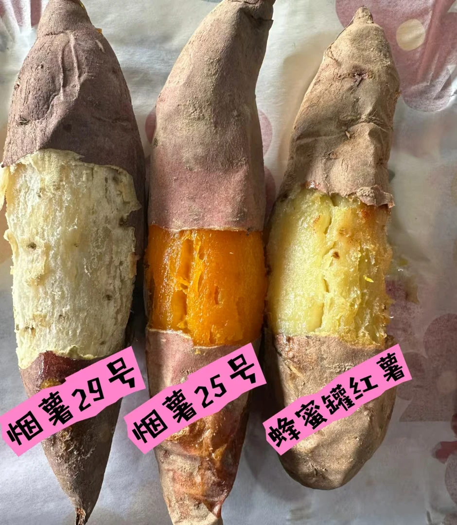 【三拼红薯】香甜软糯流蜜精品烟薯25号 烟薯29号 蜂蜜罐0农残红薯