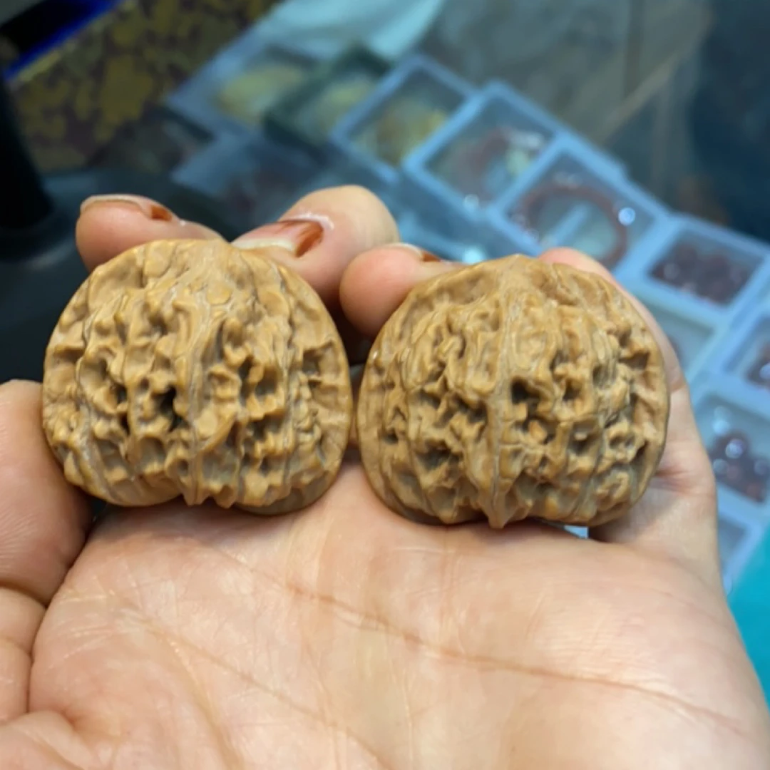 二爷冒38尺寸矮桩