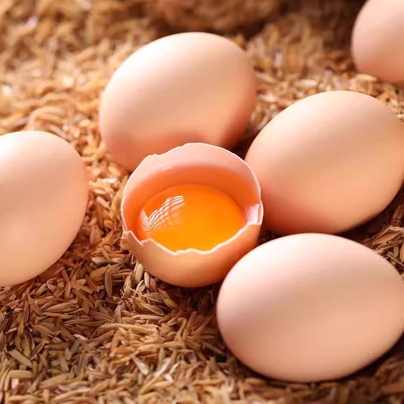 【全爸推荐】谷物鸡蛋新鲜正宗50枚农家散养土鸡蛋初生蛋优质鸡蛋