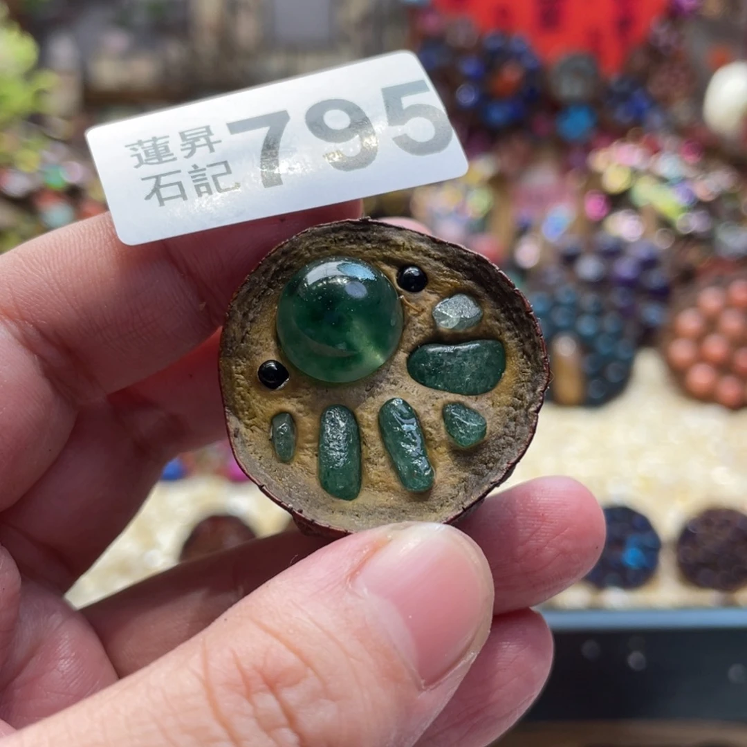 核桃木/黑胡桃（胡桃木）795
