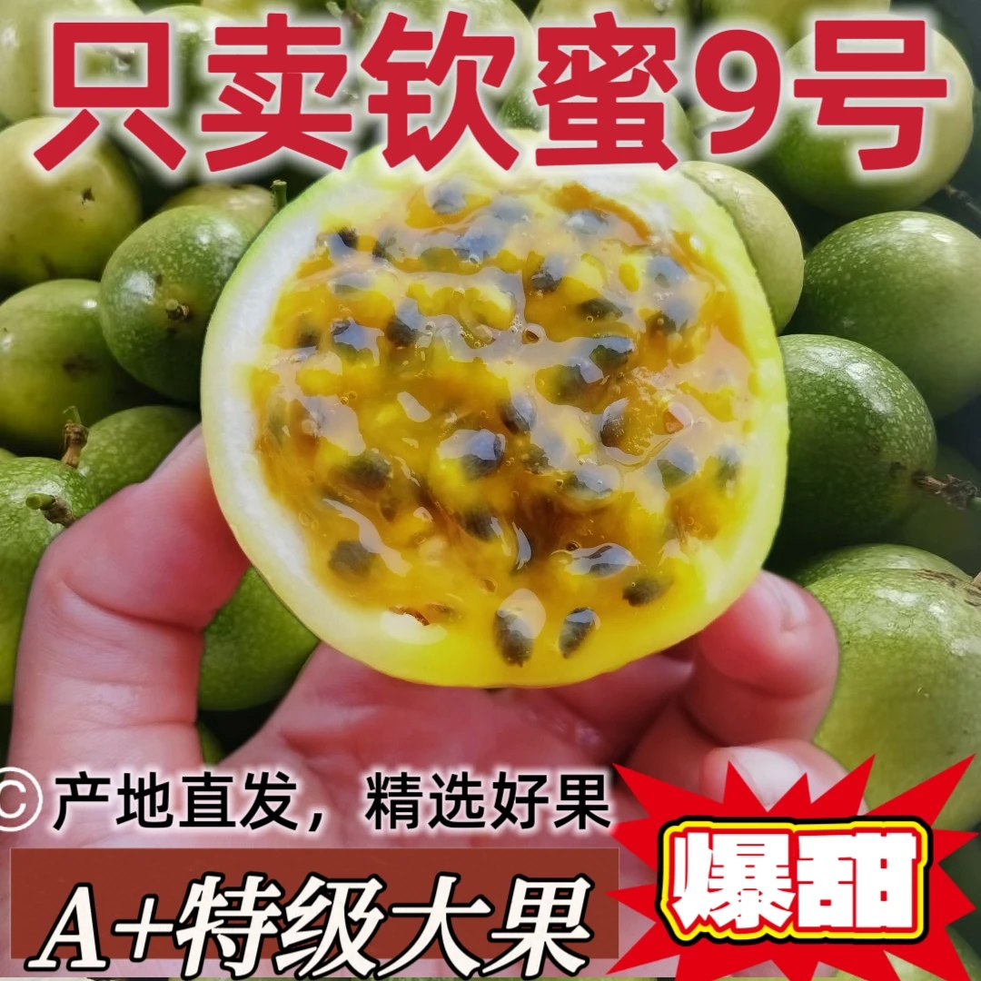 云南当季新鲜香甜多汁大果王钦蜜9号百香果产地直发饱满美味