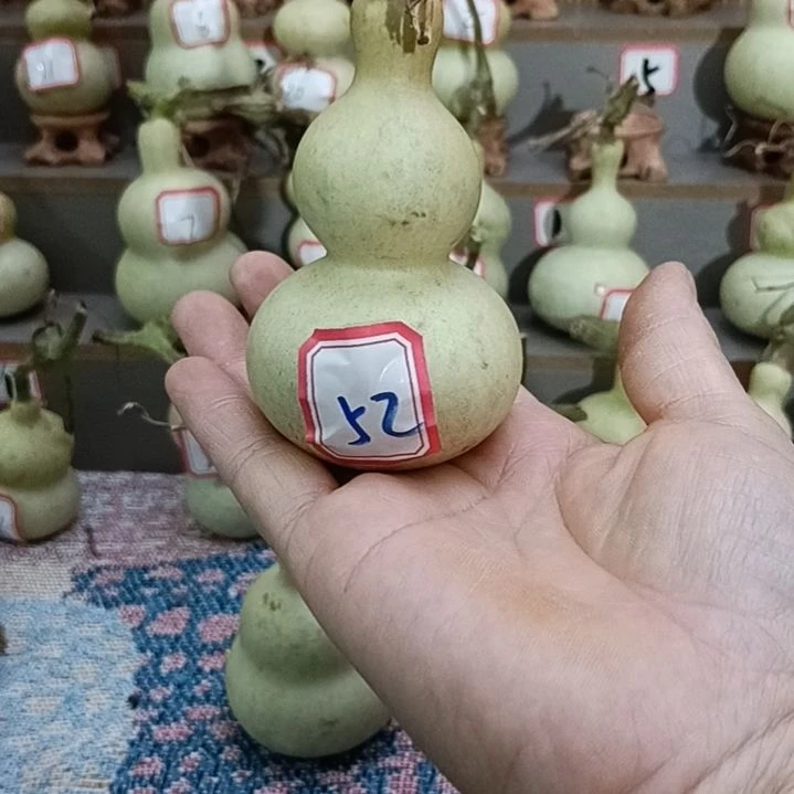 52号一物一拍一个