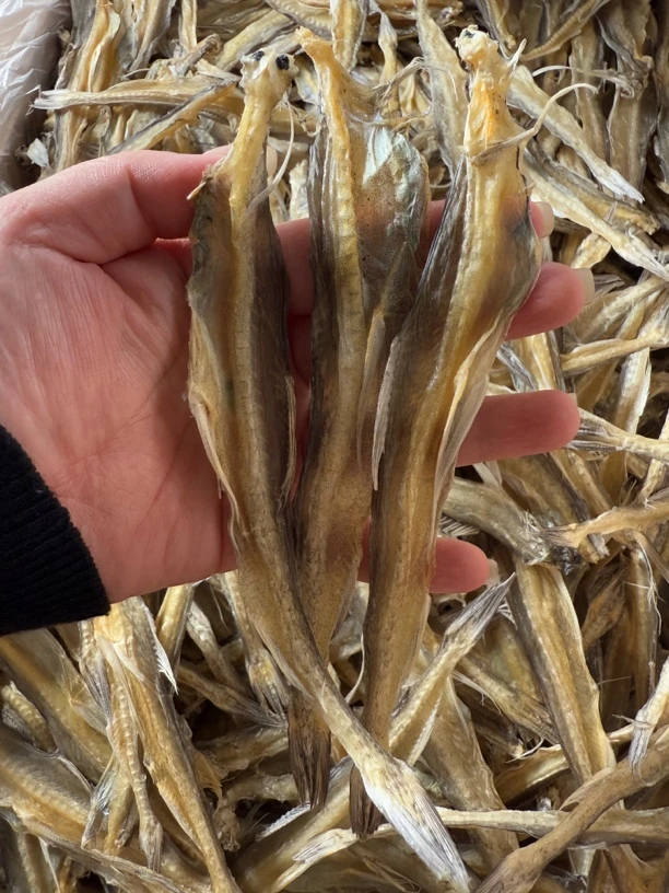 九吐鱼干 豆腐鱼鱼干 淡口 够干