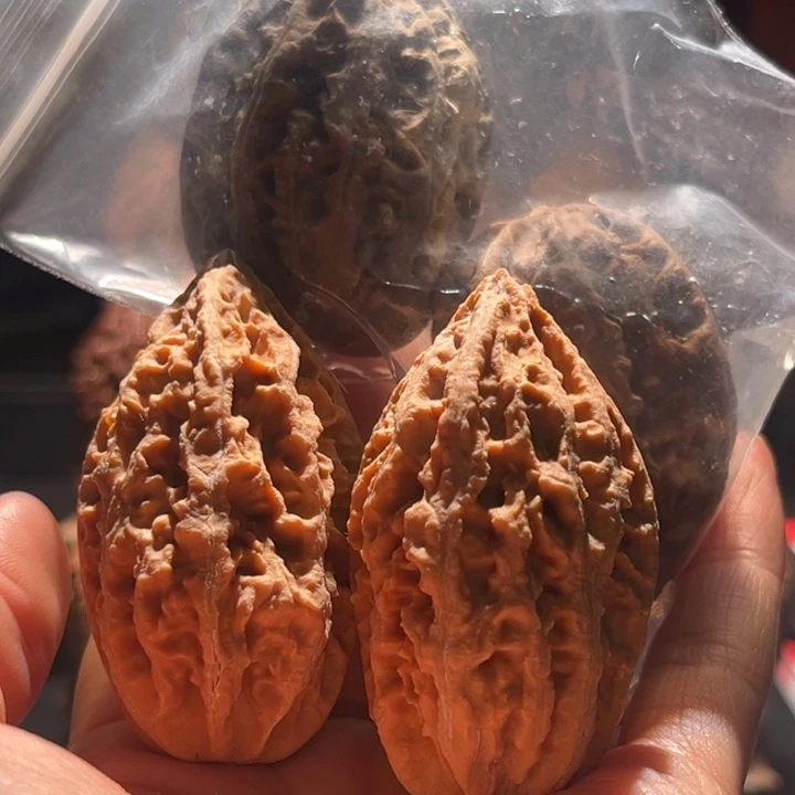 文玩核桃吊坠送104