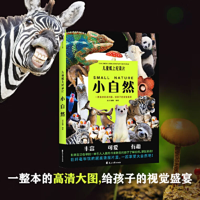 儿童纸上纪录片:小自然 少儿科普百科全书课外读物绘本