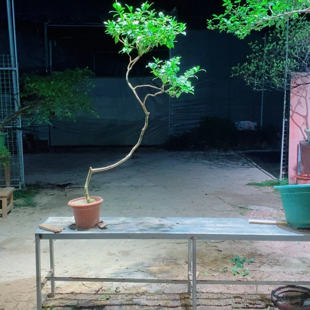 武***斌感谢您的支持和配合和信任