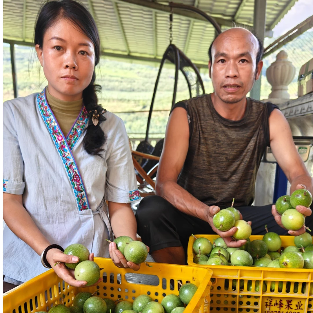 广西小梁家钦蜜9号百香果黄金果新鲜黄金百香果香甜多汁营养丰富