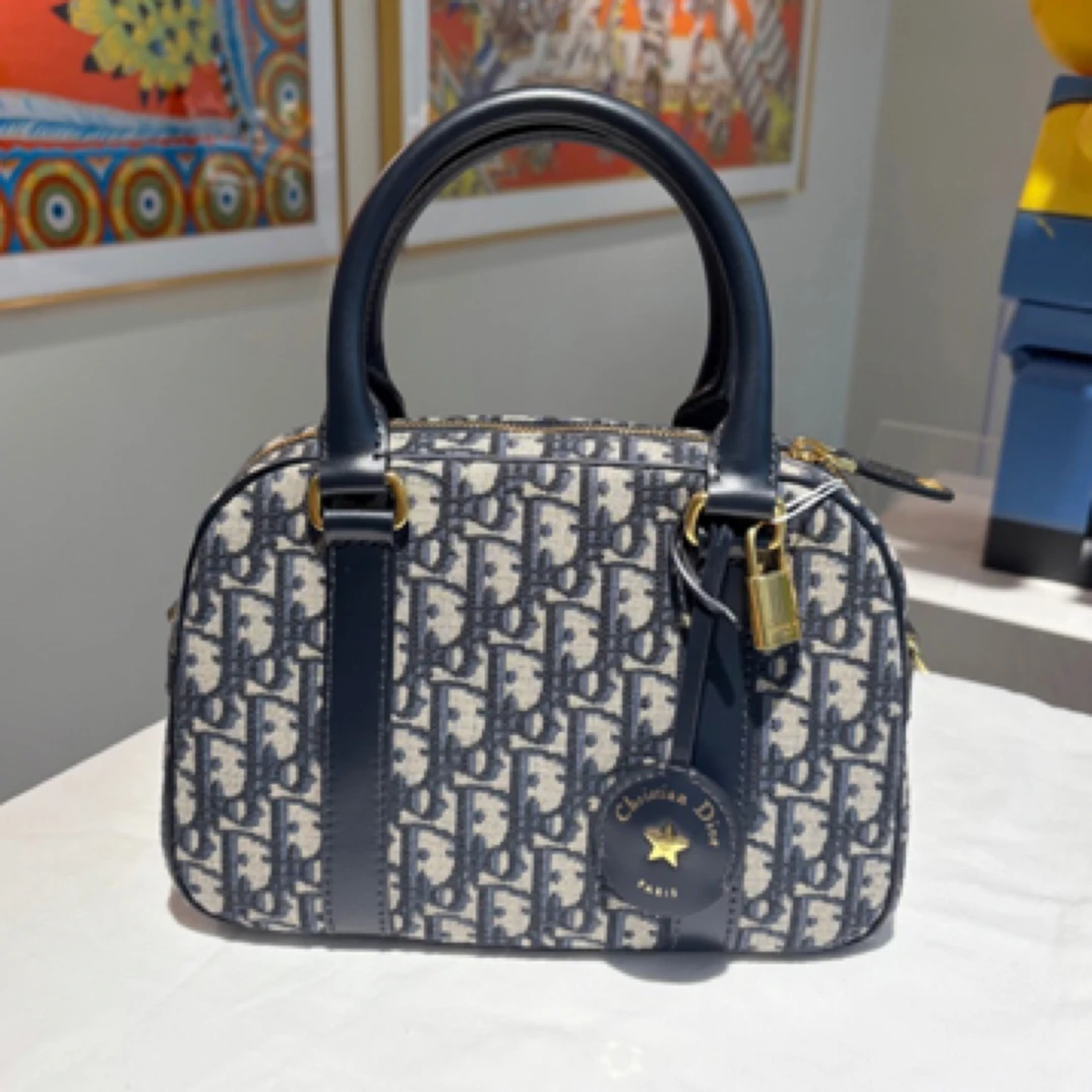 99新 DIOR/迪奥 老花 枕头包 24年/JW3647