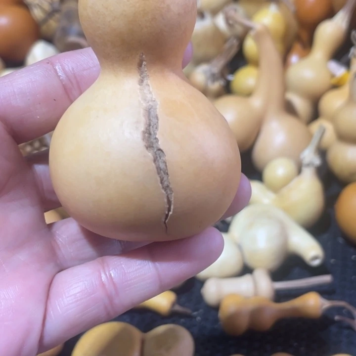 豆***川葫芦哈哈哈哈哈哈哈哈哈哈