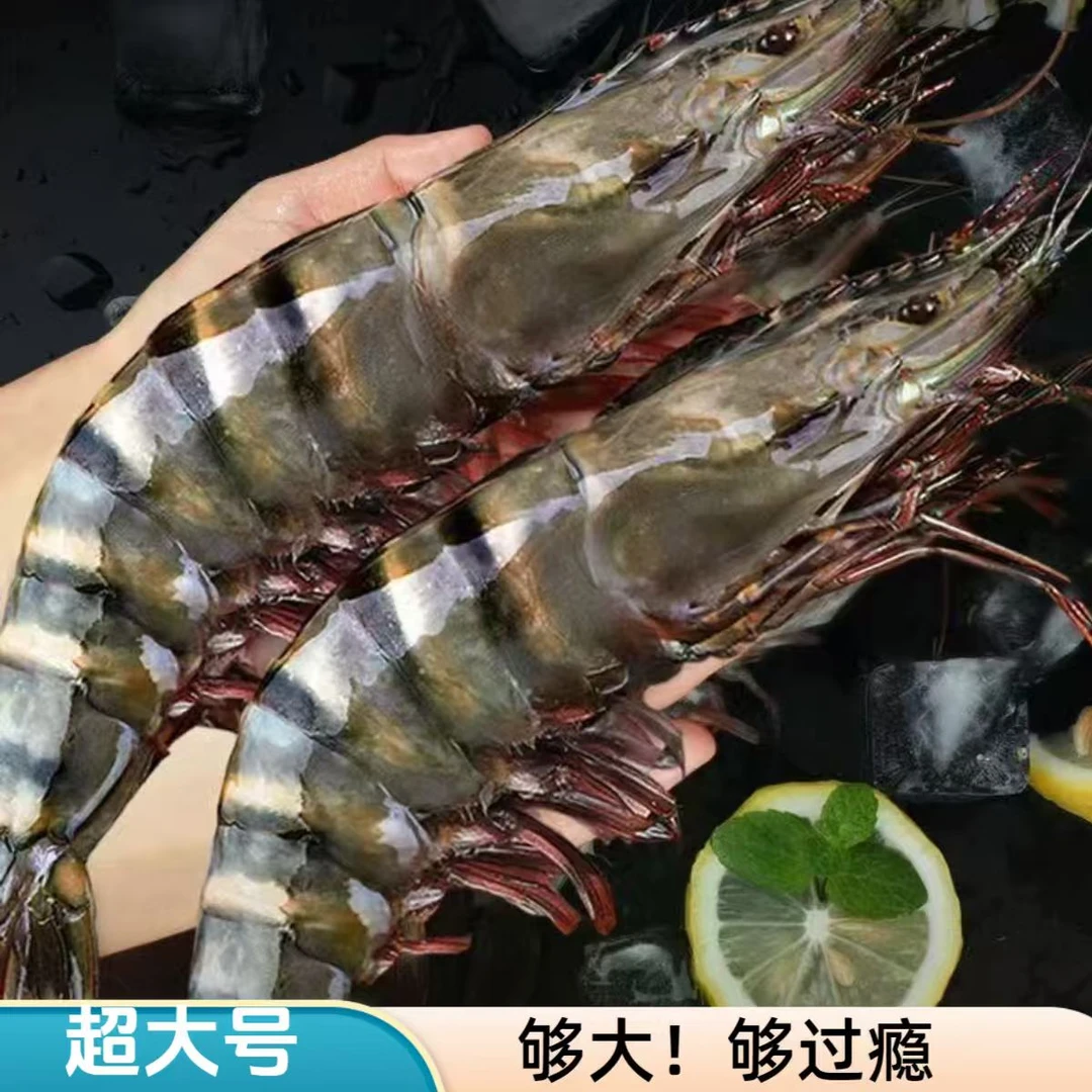 P精品超大号 1620规格黑虎虾3斤/盒活虾速冻 8-10只左右/斤