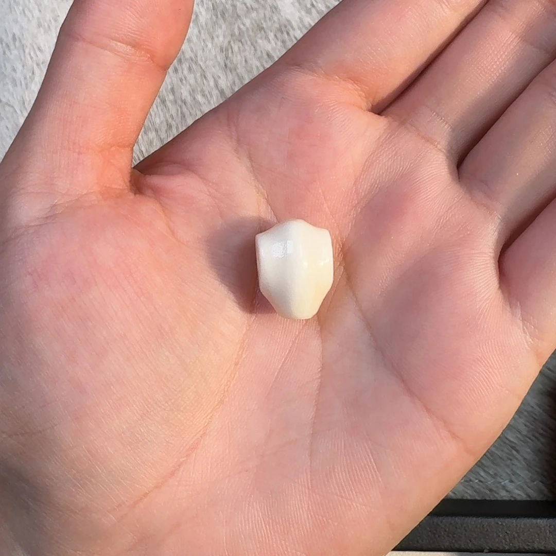 吊坠金刚菩提鲨鱼岐三通