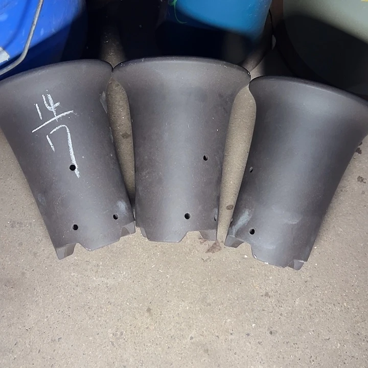 周三周四自始至终周三周四