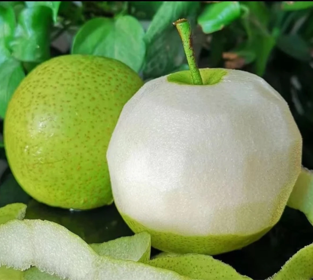 小孟专属【顺丰包邮】正宗砀山青皇冠梨 新鲜当季青皮梨 现摘现发