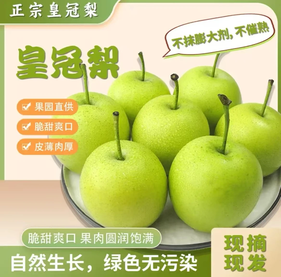 【产地直发】老果农自种梨5斤装 · 现摘现发 · 坏果包赔· 皮薄肉厚