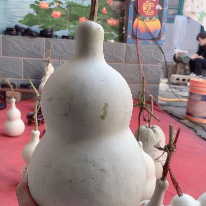 蔣***講中号尺寸的尺寸大小尺寸