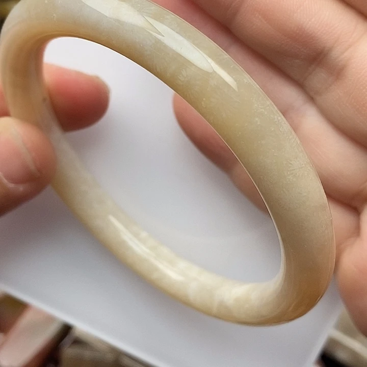 硅化玉未镶嵌颈饰