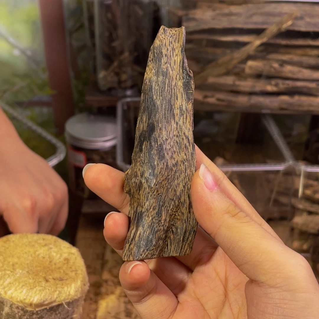 沉香碎屑沉香虫漏福利14