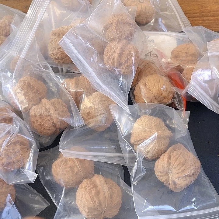 把件文玩核桃文玩。南瓜。玉玺。石元宝。蛤蟆头