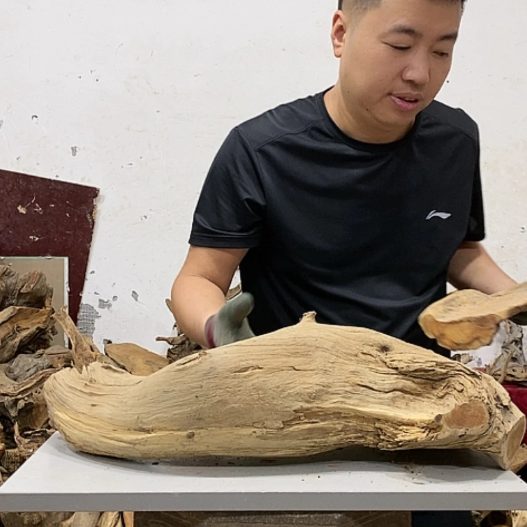 【闪购商品】柏木唐**哥我们都是好孩子