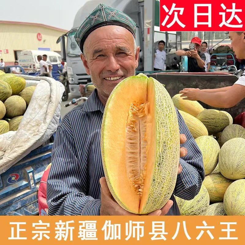 次日达【顺丰包邮】新疆伽师瓜八六王黄皮瓜新疆水果新疆维吾尔自治区