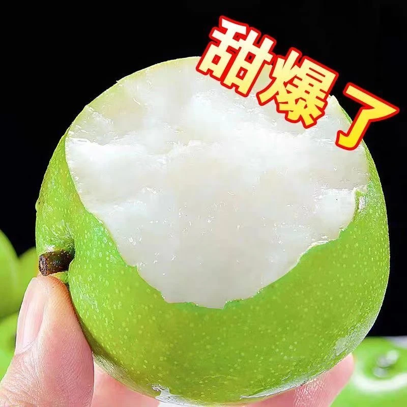 正宗砀山苏翠一号皇冠梨酥脆青皮子新鲜苹果梨翠冠梨青梨整箱