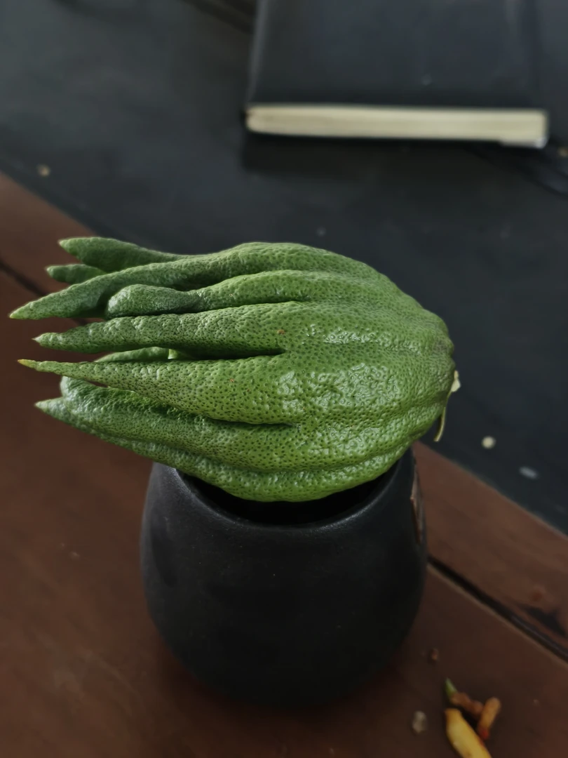 新鲜云南高山佛手柑