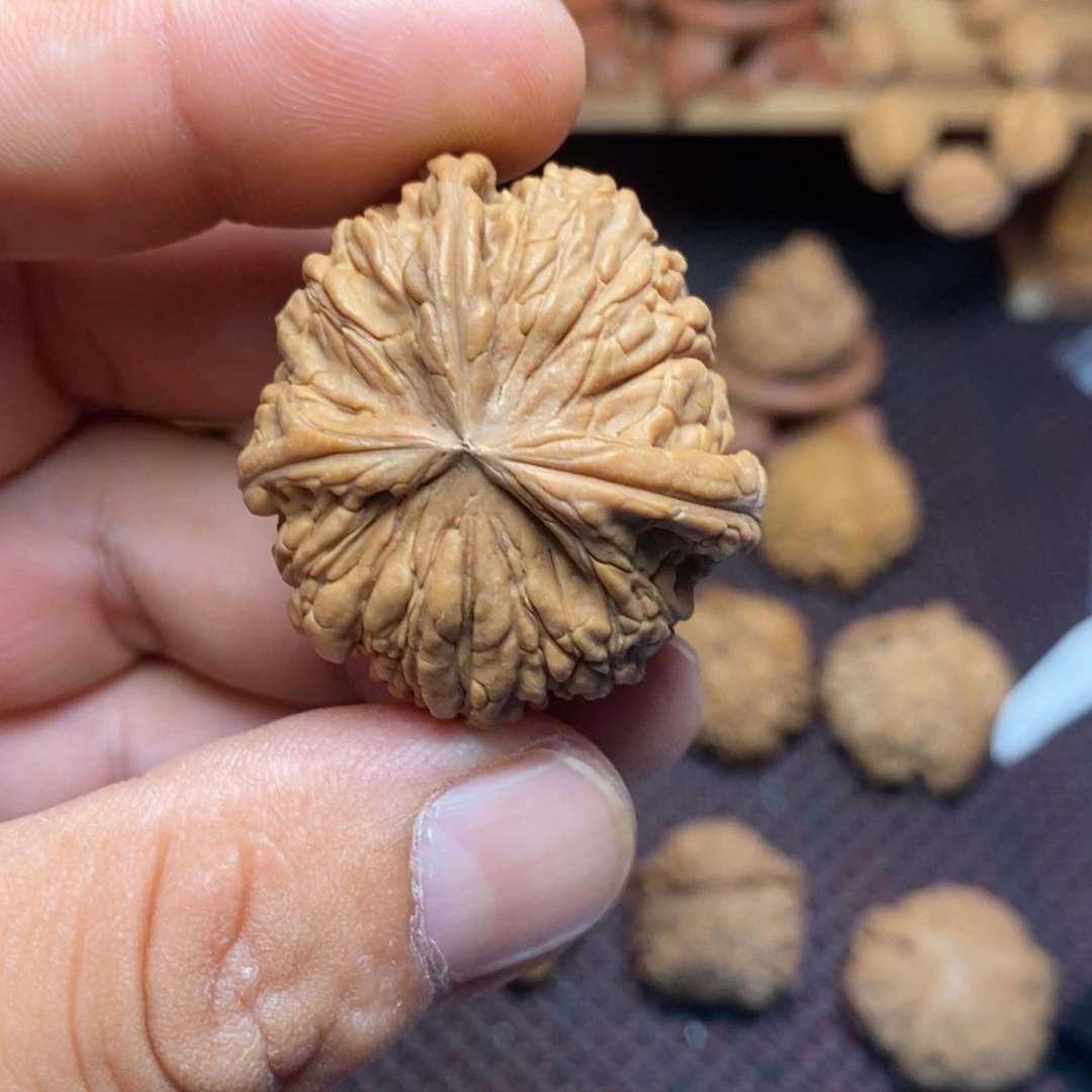 加***鲁文玩核桃把件文玩