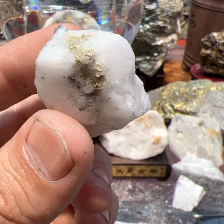 聚金阁的自然金标本