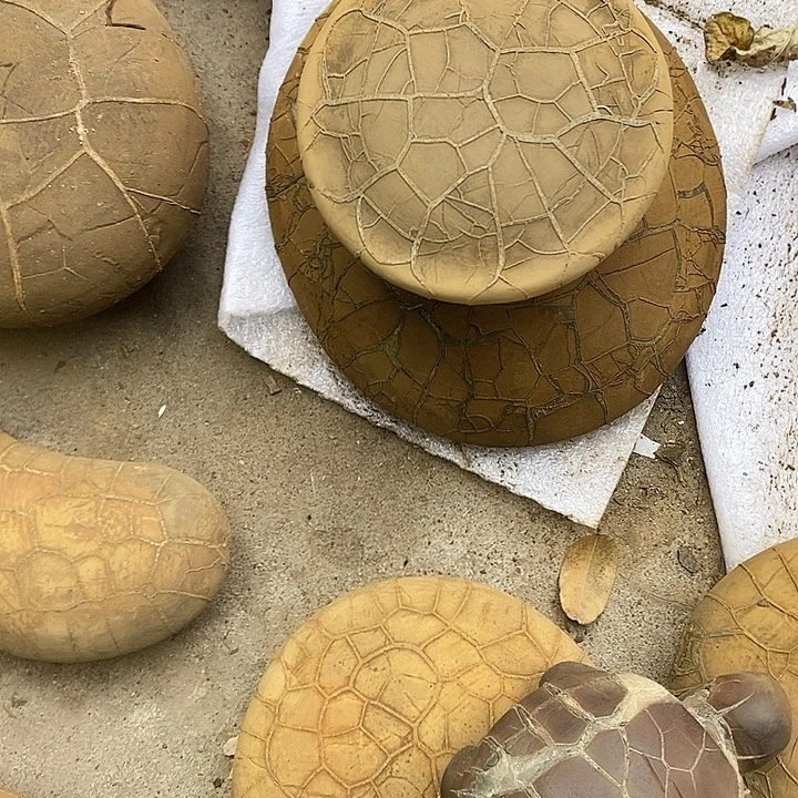 秀***驹去付吧哥谢谢谢谢