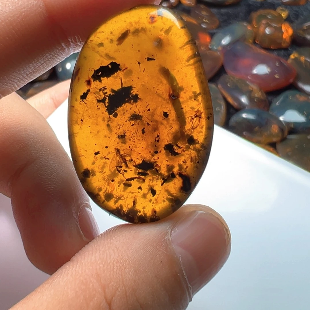 裸石琥珀未镶嵌虫珀