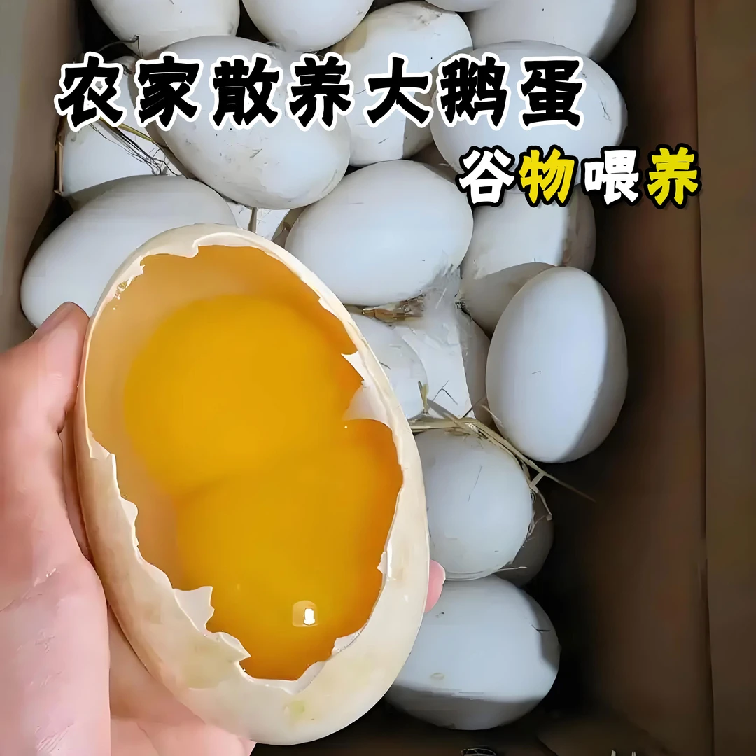 正宗农家谷物散养新鲜土鹅蛋现捡现发假一赔十