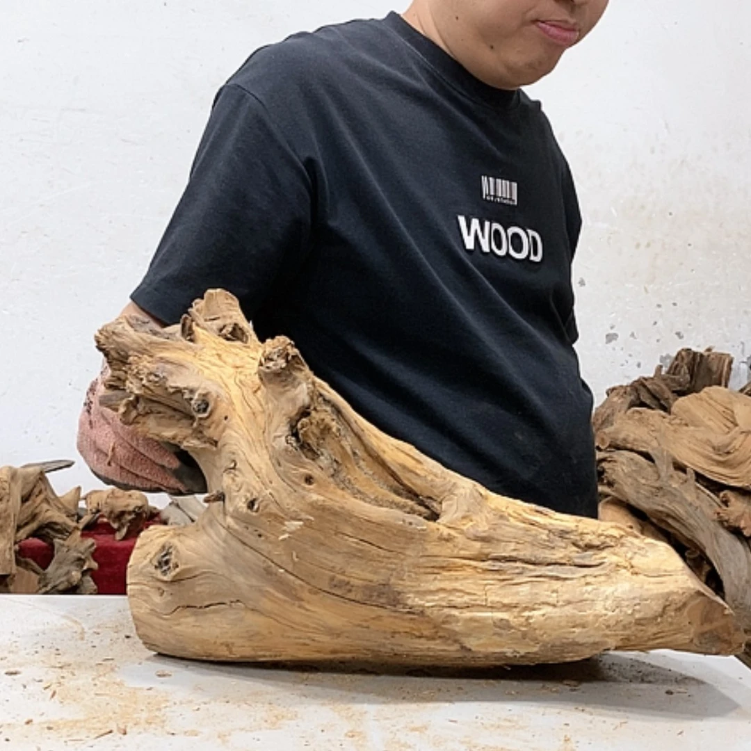 【闪购商品】柏木手****3我们都是好孩子